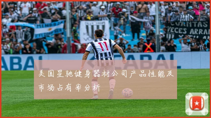 美国星驰健身器材公司产品性能及市场占有率分析
